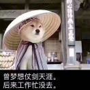 用户头像