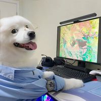 用户头像
